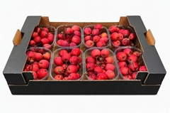 Malus Other Per Bak 250gram