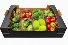 Cucumis Hirsutus 500gram