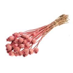 Droogbl Bewerkt H% 55cm
