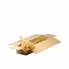 Dried Flowers 100 Gram 40cm
