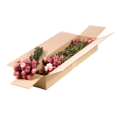 Dried Flowers 100 Gram 45cm