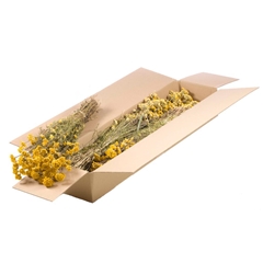Dried Flowers 100 Gram 40cm