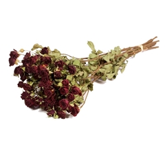 Dried Flowers 100 Gram 45cm