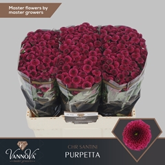 Chr San Aaa Purpetta 55cm 110g