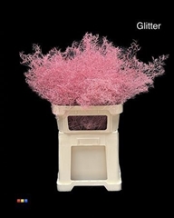 Limonium Pink + Glitter Bio