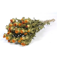 Dried Flowers 100 Gram 60cm