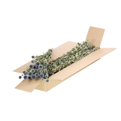 Dried Flowers 100 Gram 50cm