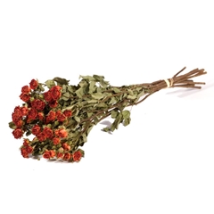 Dried Flowers 100 Gram 45cm