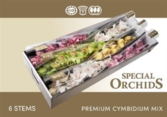 Cymb Branch Mixed 80cm 13+