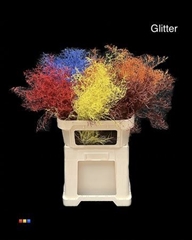Limonium Mix + Glitter Bio