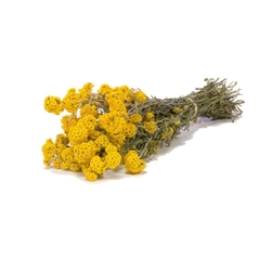 Dried Flowers 100 Gram 45cm