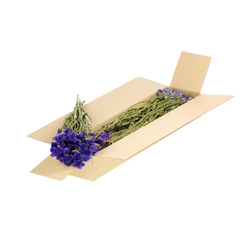 Dried Flowers 100 Gram 60cm