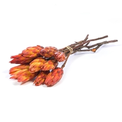 Dried Flowers 100 Gram 35cm