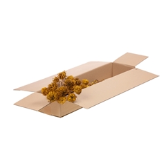 Droogbl Bewerkt H% 50cm