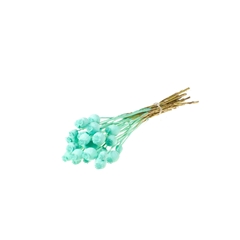 Droogbl Bewerkt H% 55cm