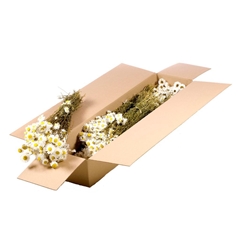 Dried Flowers 100 Gram 50cm