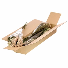 Dec Gr Kleurbe 21% 60cm
