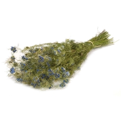 Dried Flowers 100 Gram 45cm