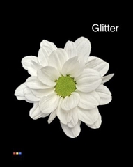 Chr T Chic White + Glit Bio
