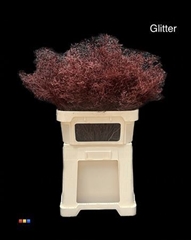 Limonium Bordeaux + Glitter Bio