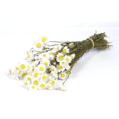 Dried Flowers 100 Gram 50cm