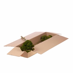 Droogbl Bewerkt H% 50cm 60gram