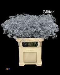 Gyps Million Star Grey + Glit Bio