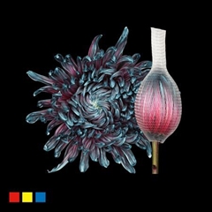 Chr G Stravina Ocean Fresh