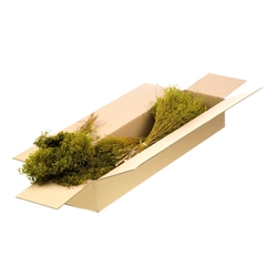 Droogbl Bewerkt H% 40cm 85gram