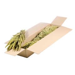 Dried Flowers 100 Gram 50cm 110gram