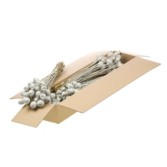 Droogbl Bewerkt H% 55cm 150gram