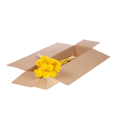 Droogbl Bewerkt H% 55cm 85gram