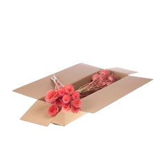 Droogbl Bewerkt H% 55cm 85gram