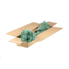 Droogbl Bewerkt H% 40cm 85gram