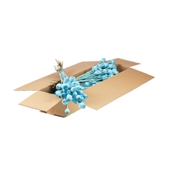 Droogbl Bewerkt H% 55cm 150gram
