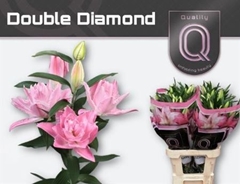 Li Or Du Dou Diamond 85cm 20+