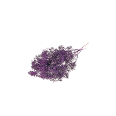 Droogbl Bewerkt H% 40cm 85gram