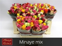 R Gr Mixed 40cm