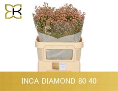 Lim Sin Inca Diamond 80cm 40gram