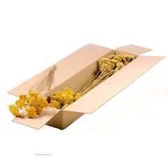 Dried Flowers 100 Gram 50cm 90gram