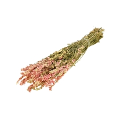 Dried Flowers 100 Gram 60cm 95gram