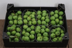 Malus Other Per Bak 200gram