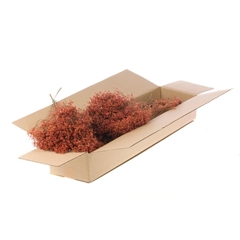 Droogbl Bewerkt H% 40cm 85gram