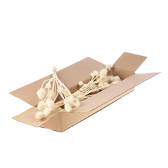 Droogbl Bewerkt H% 55cm 70gram