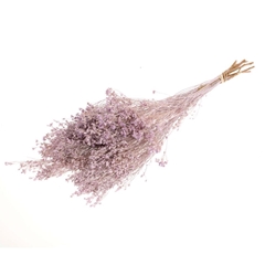 Droogbl Bewerkt H% 40cm 130gram