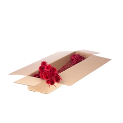 Droogbl Bewerkt H% 50cm 85gram