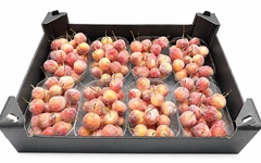 Gewaxde Appel 21%