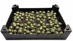 Gewaxde Appel 21%