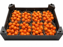 Gewaxde Appel 21%