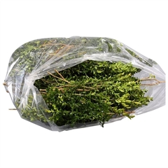 Buxus Per Bunch 35cm 301gram